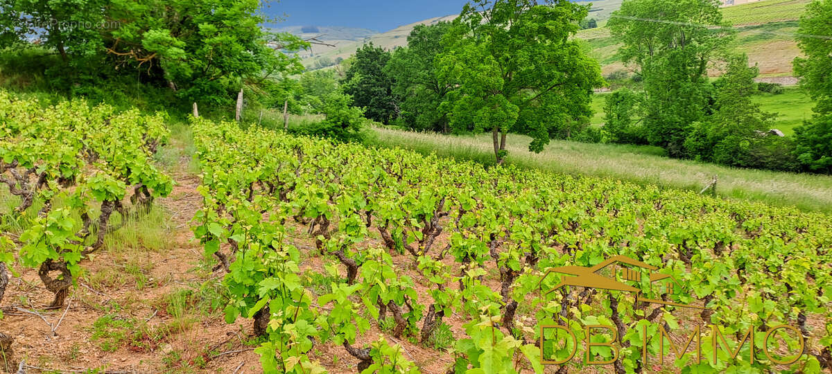 Terrain à JULIENAS