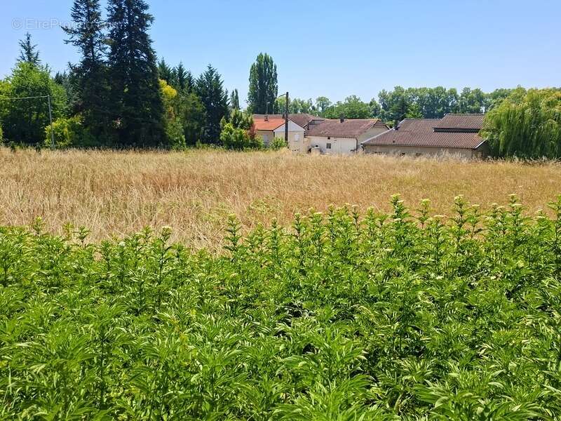 Terrain à vendre de 2 099,00 m² MALAUSE (82) - photo 3