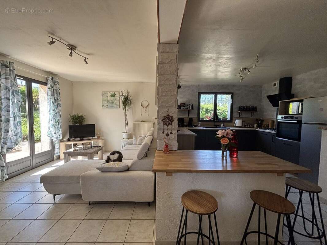 Maison à BELLEGARDE-POUSSIEU