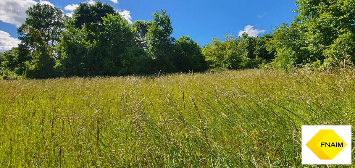 Terrain à LA SAUVETAT-DE-SAVERES