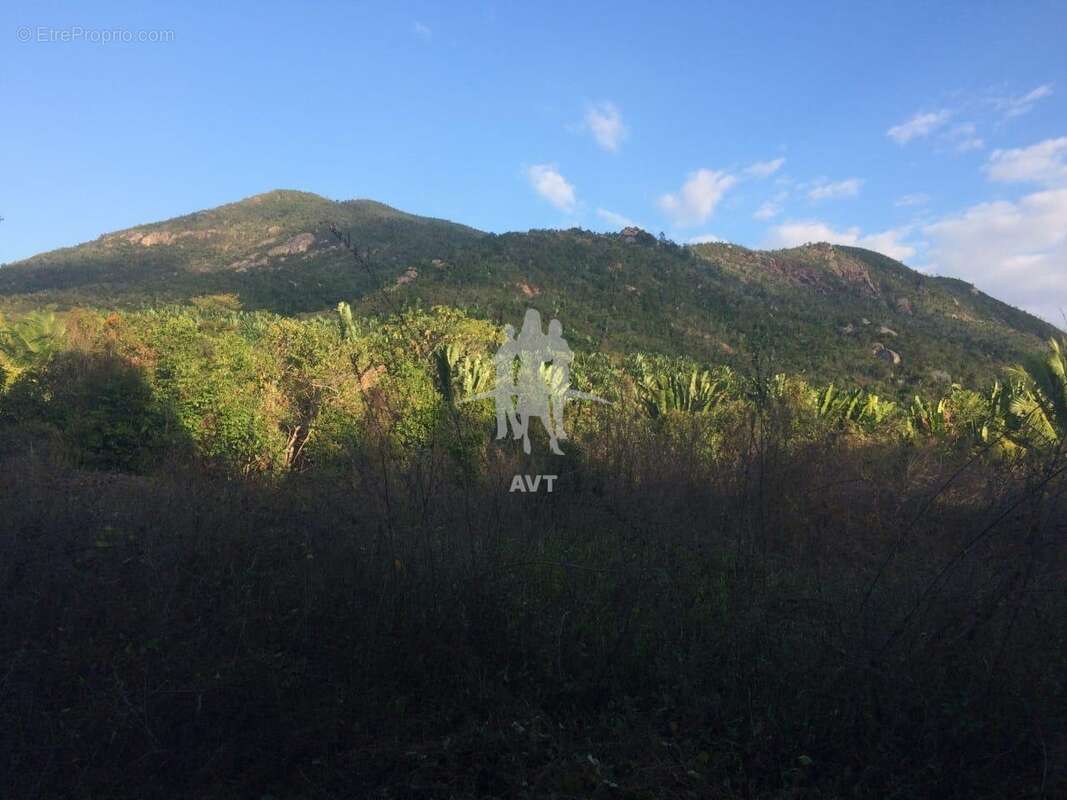 Terrain à BANOS