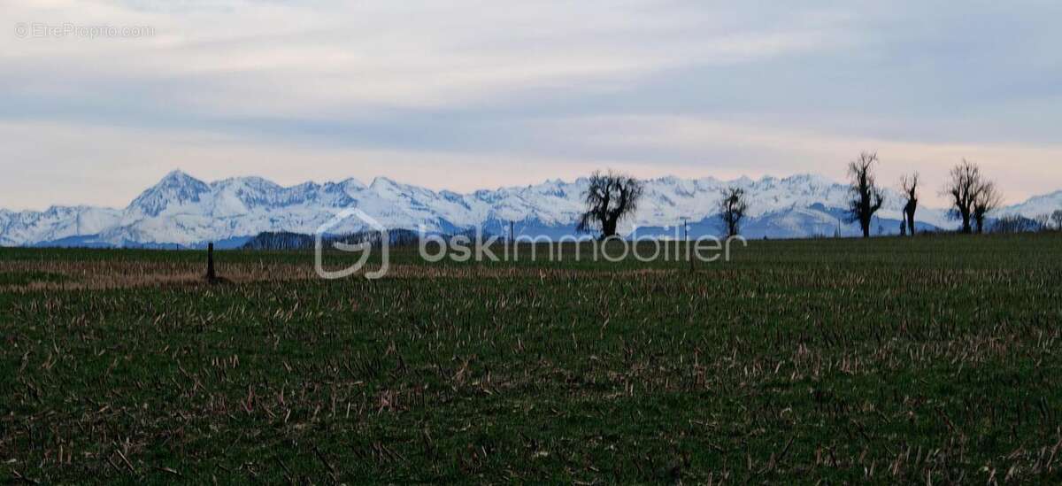 Terrain à SAUBOLE
