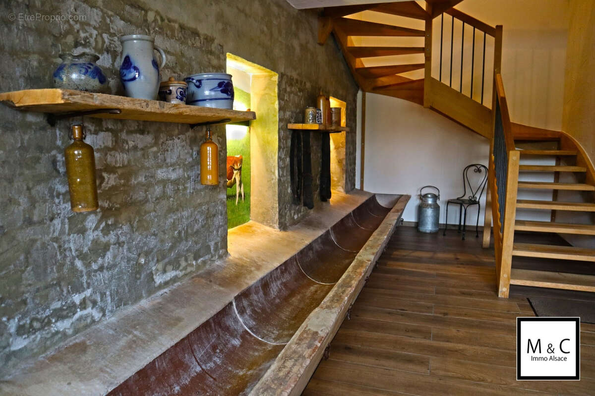 Demeure de prestige Ingolsheim 7 pièces 200 m2 - photo 9