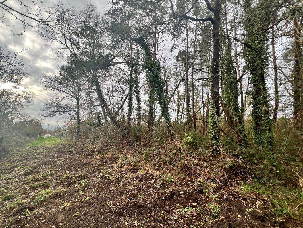 Terrain à ROMORANTIN-LANTHENAY