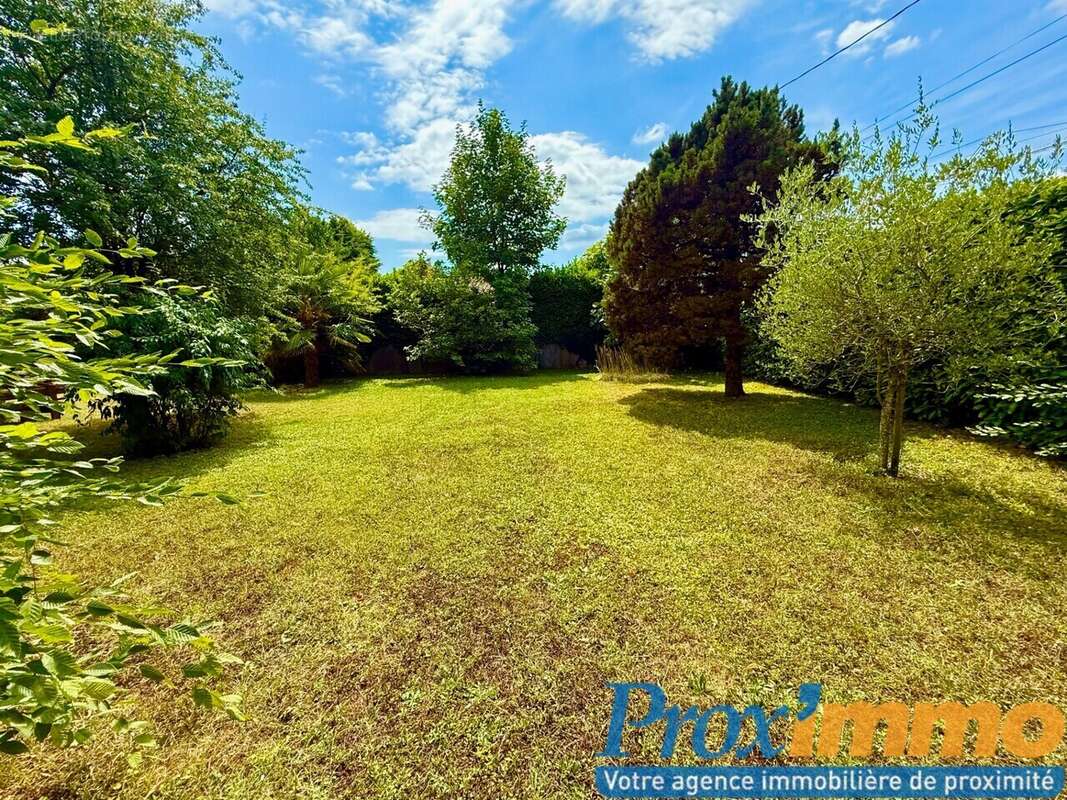 Terrain à COUBLEVIE