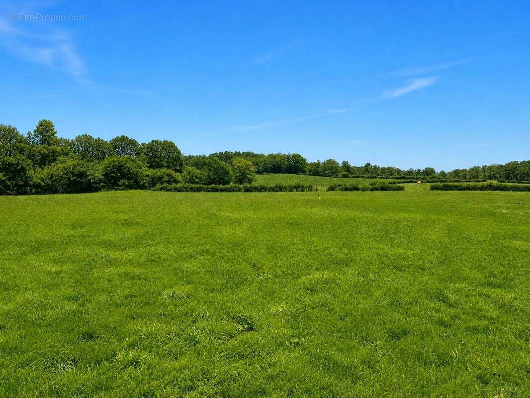 Terrain à NONTRON