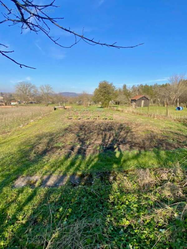 Terrain à VIRECOURT