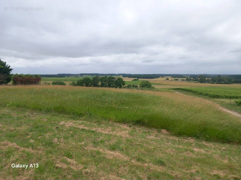 Terrain à SAINT-MAIGRIN