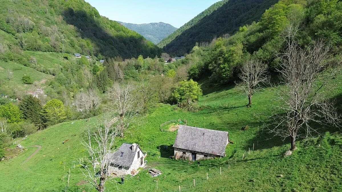 Maison à LES BORDES-SUR-LEZ