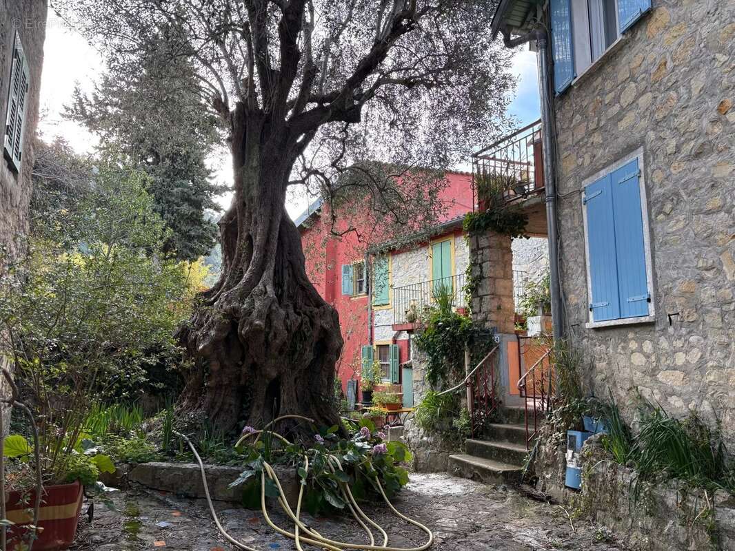 Maison à TOURRETTE-LEVENS
