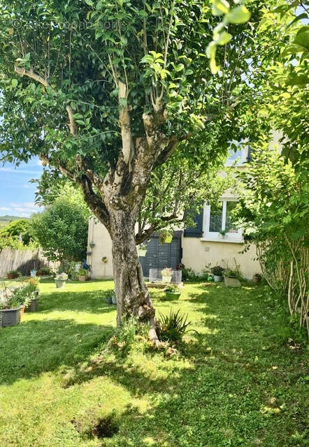 Maison (73m2) 3 chambres, jardin à Auch - photo 14