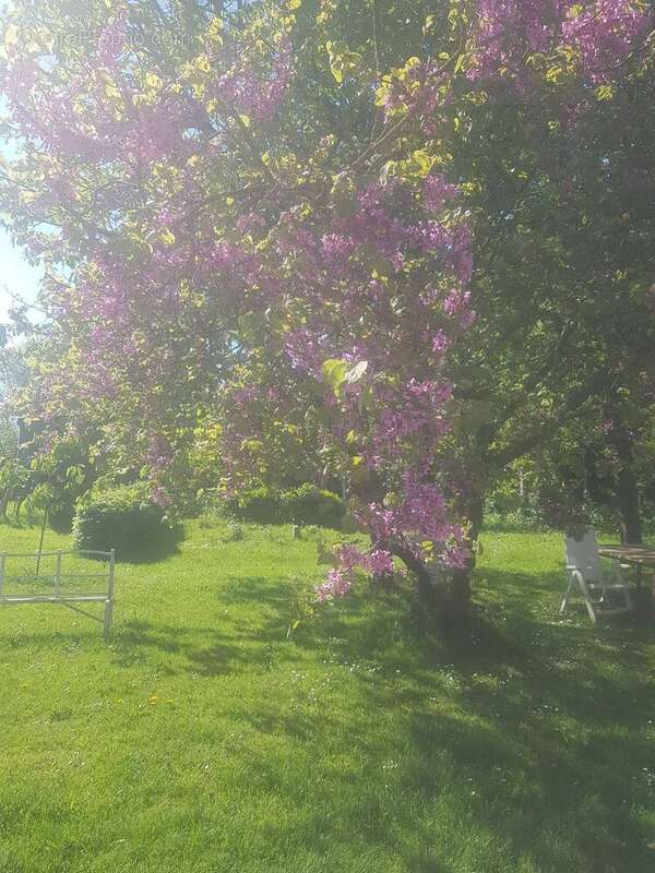 Maison à SAINT-DENIS-LE-GAST