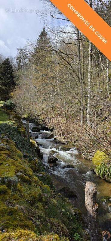 Appartement Hohwald proche Champ du feu – Nature et rentabilité - photo 10