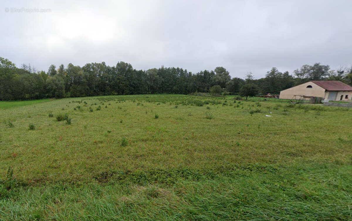 Terrain à BLETTERANS