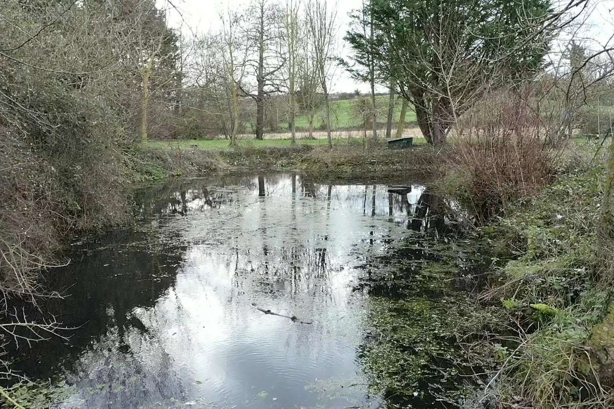 Maison à SAINT-PIERRE-SUR-DIVES