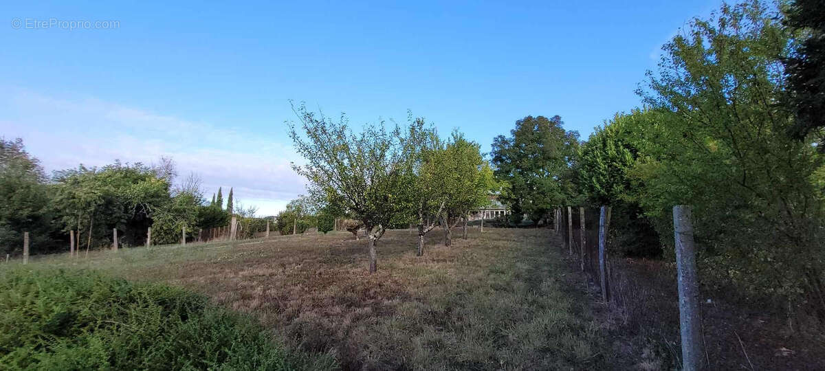 Maison à SAINT-FORT-SUR-GIRONDE