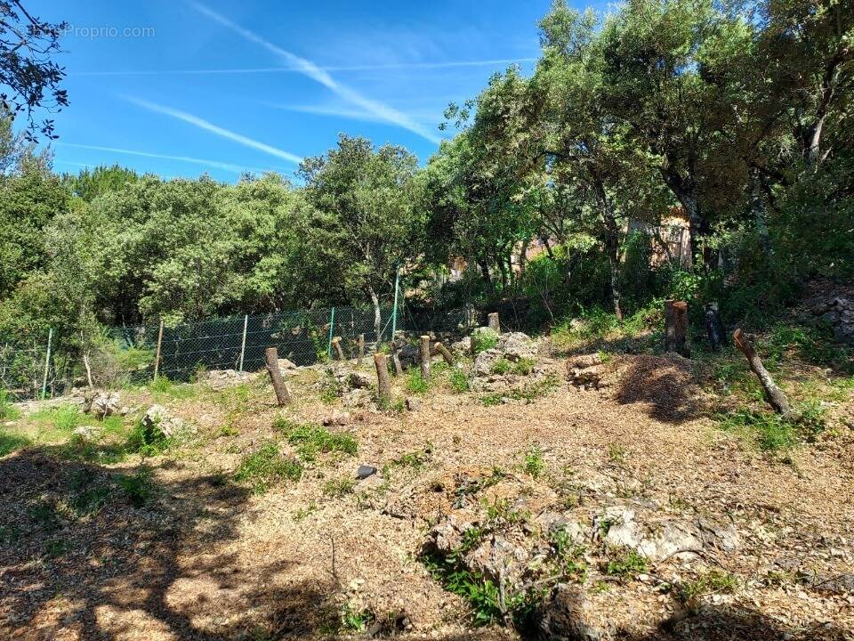 Photo Terrain à Sainte-Anastasie-Sur-Issole au prix de 142 000€