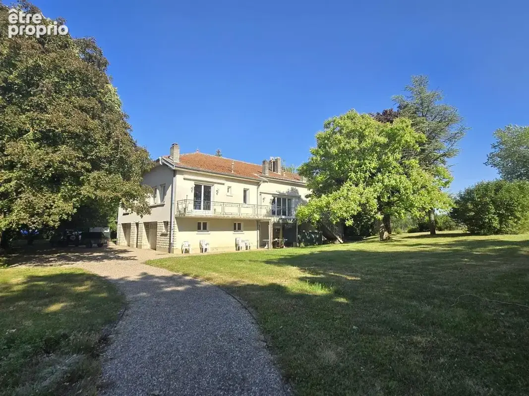 Maison 10 pièces 393 m² à vendre à Menil-La-Tour (54200) - photo 2