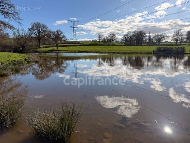 Terrain à SAINT-LAURENT-D'ANDENAY