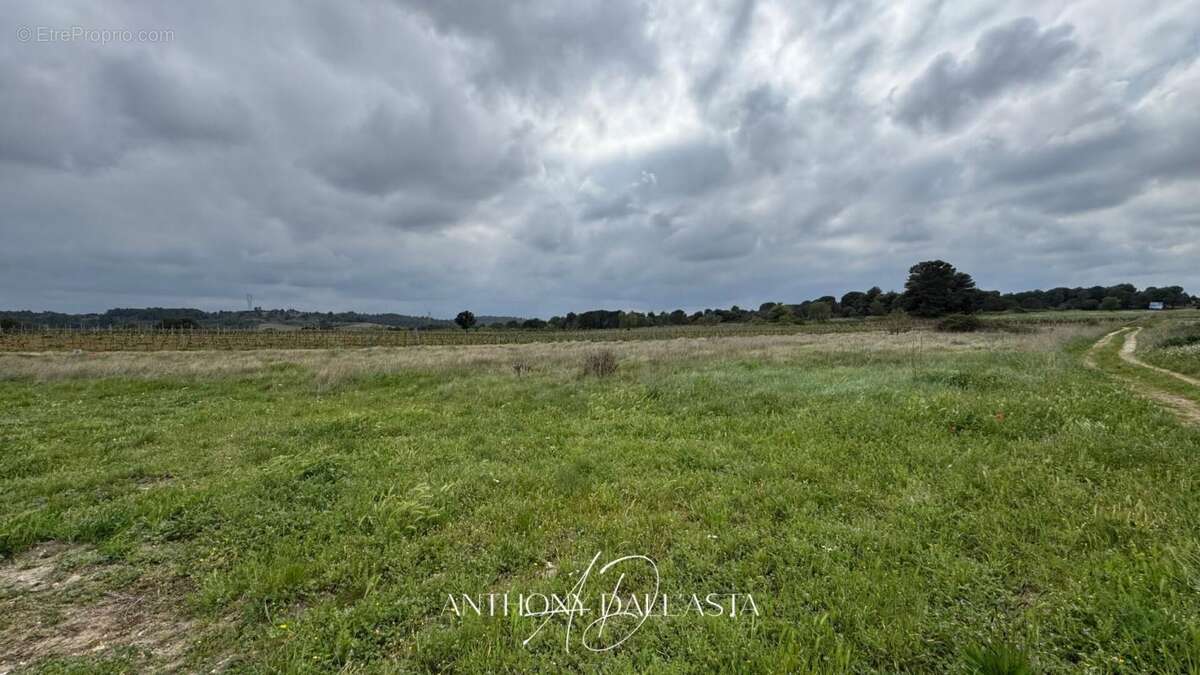 Maison à VILLENEUVE-MINERVOIS