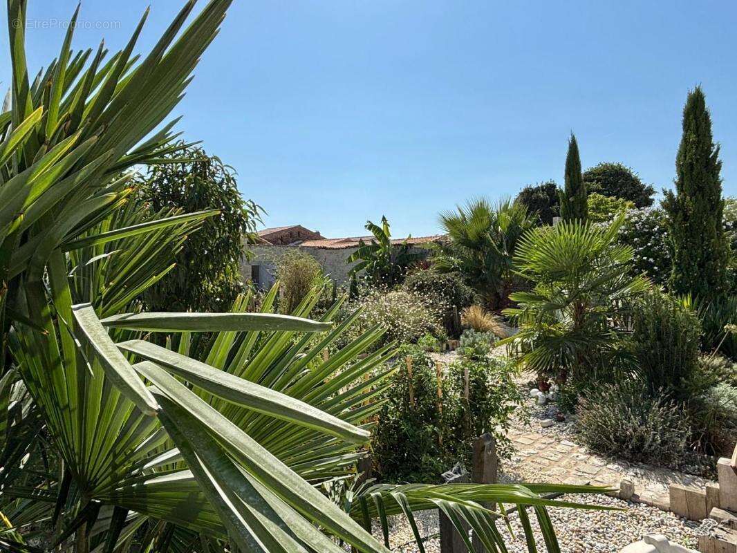 Maison à SAINT-GEORGES-D&#039;OLERON