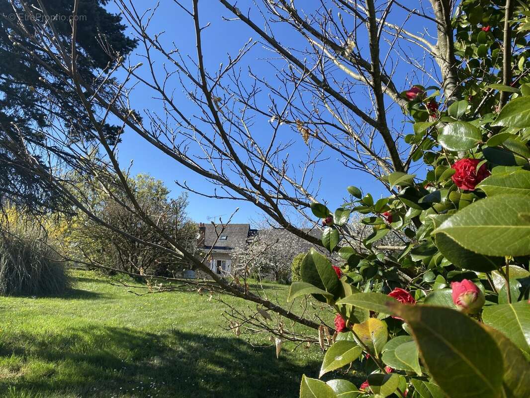 Maison à RILHAC-TREIGNAC