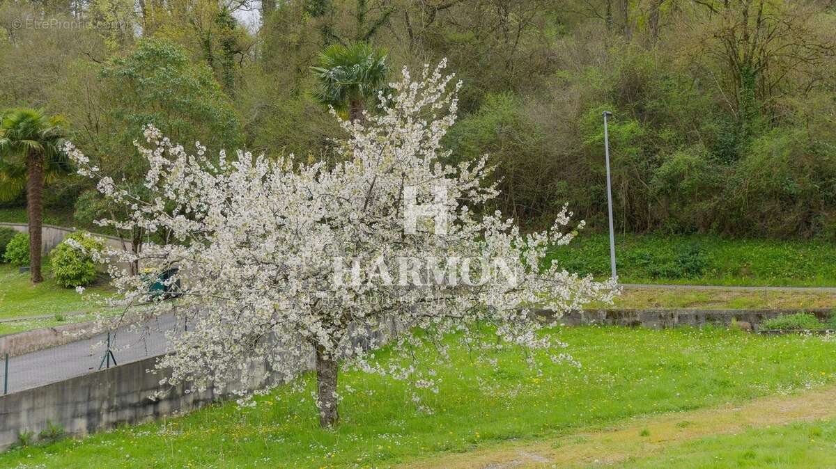Maison à TARSACQ