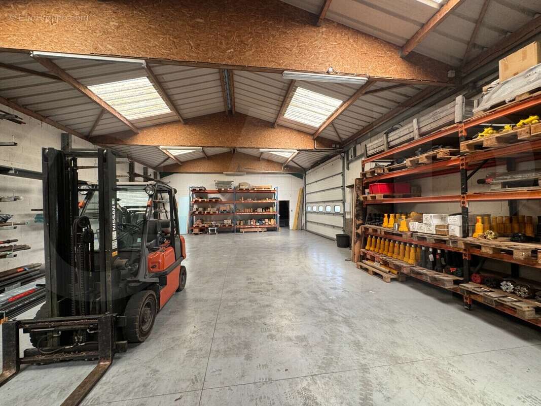 1200 m² à Bourgbarre  - photo 8