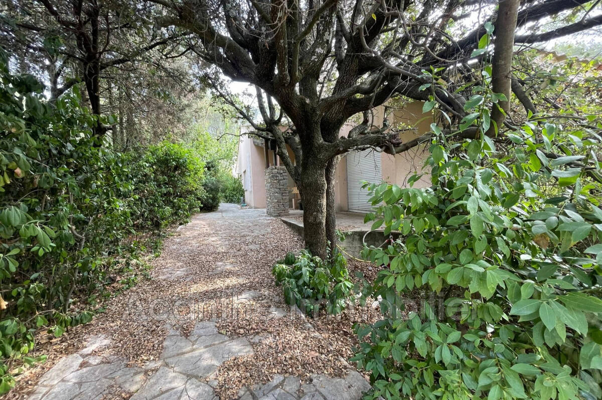 Maison à MONTFERRIER-SUR-LEZ