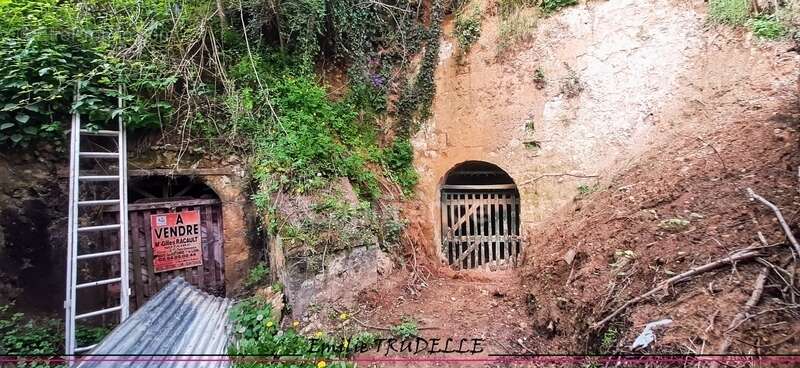 Maison à PONCE-SUR-LE-LOIR