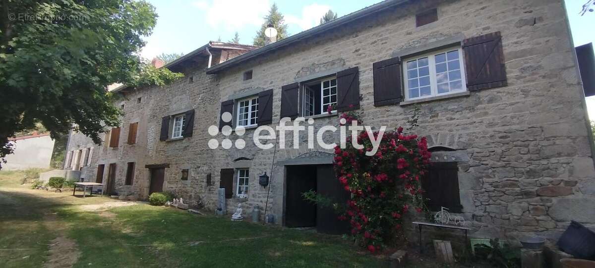 Maison 10 pièces 442 m² à vendre à Fournols (63980) - photo 35