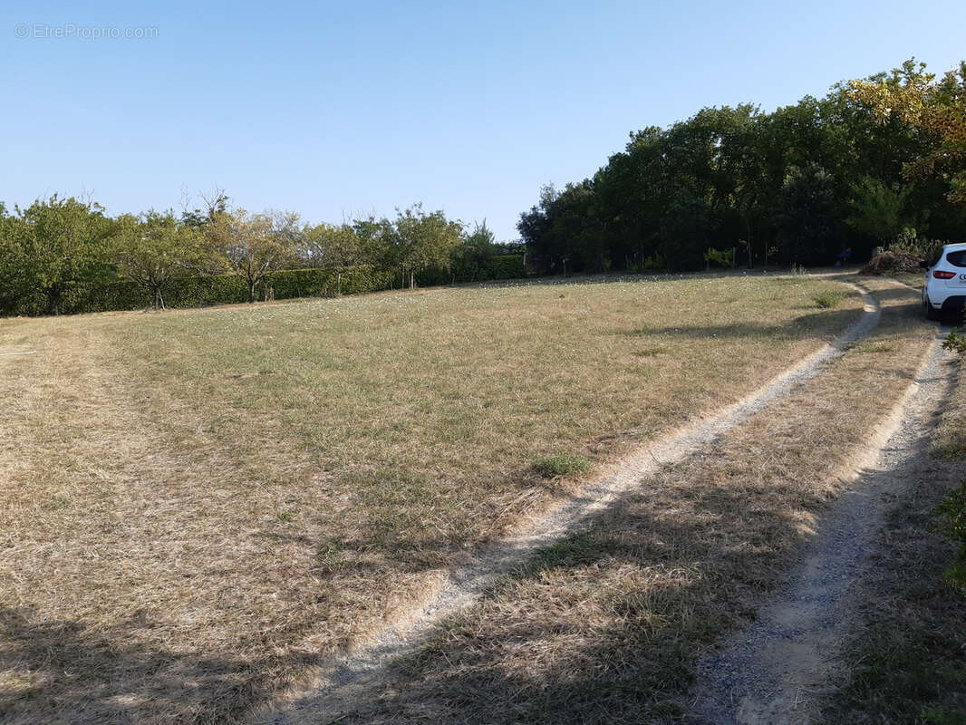 Terrain à SAINT-LAURENT-LES-TOURS