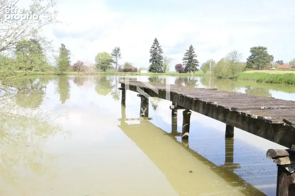 Etang avec sources - photo 4