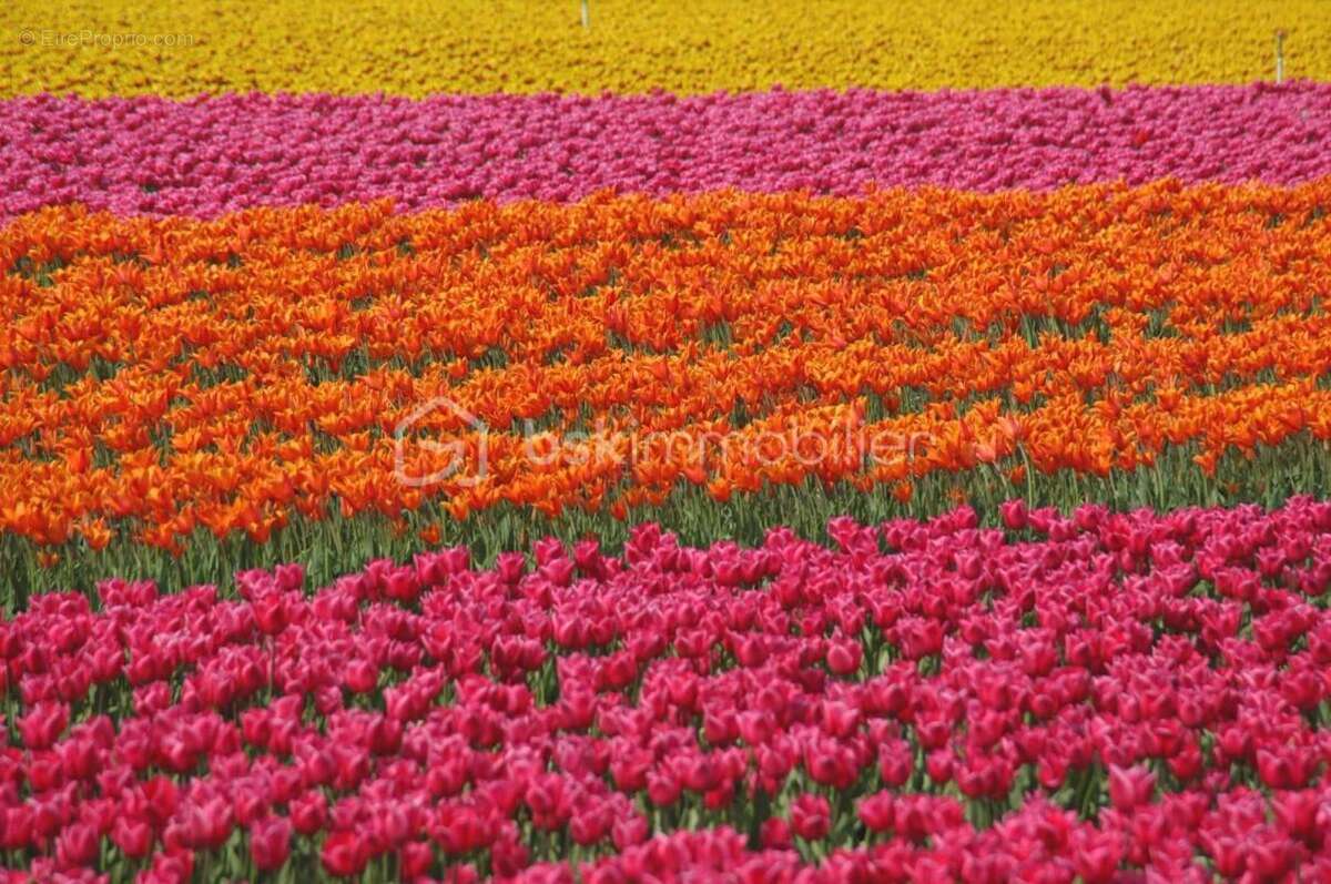 Terrain à LA BRILLANNE