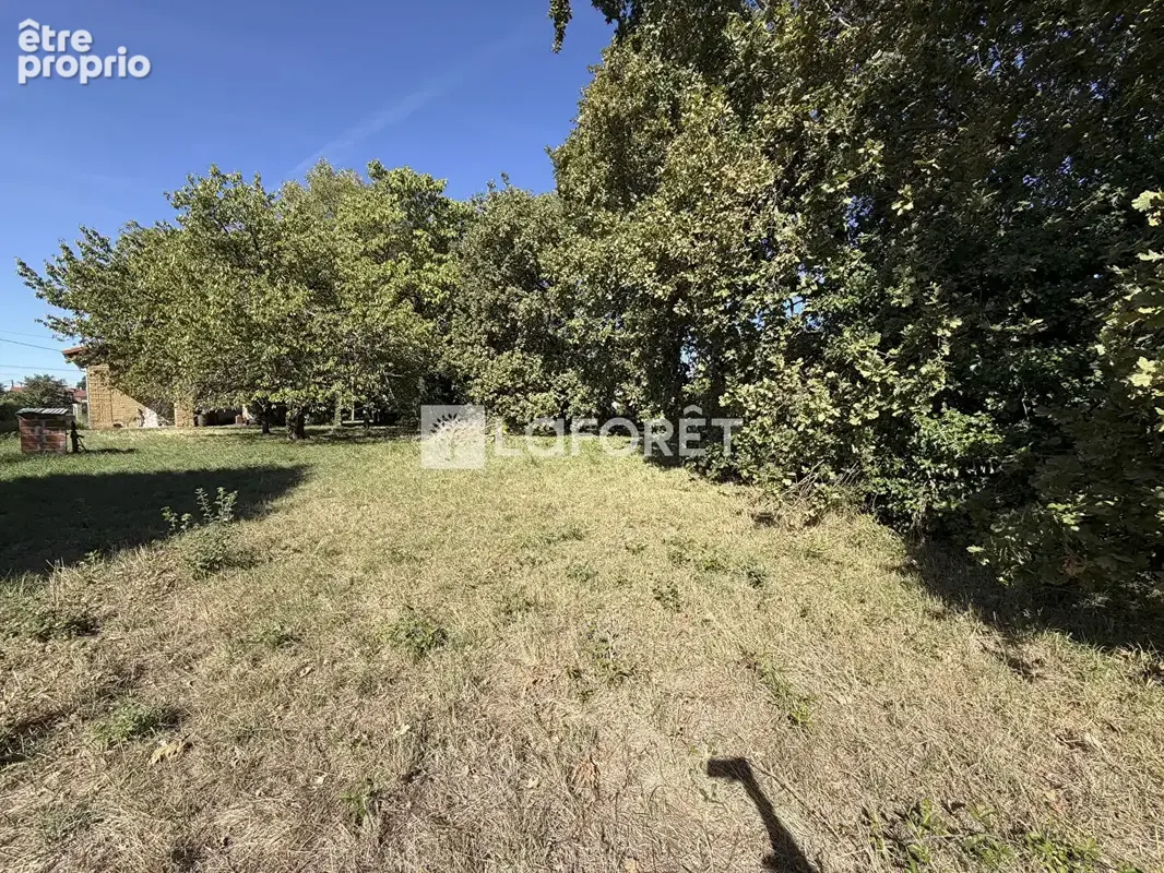 Montech, face au canal : une maison, un terrain de 4 699 m² et autant de projets que vous en imaginerez - photo 5