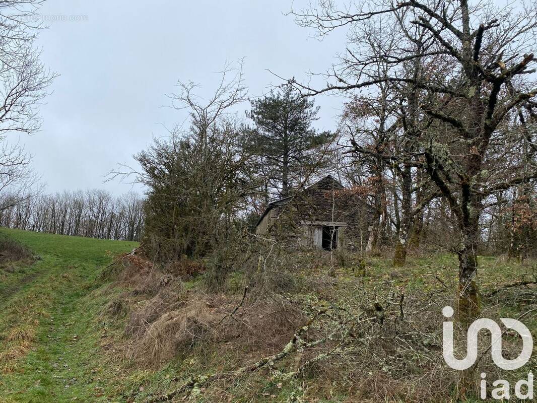 Photo 1 - Maison à MONTAGNOL