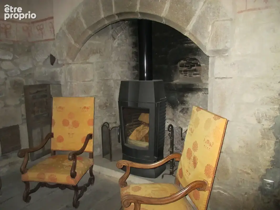 Château historique dominant les gorges de la Dore - photo 14