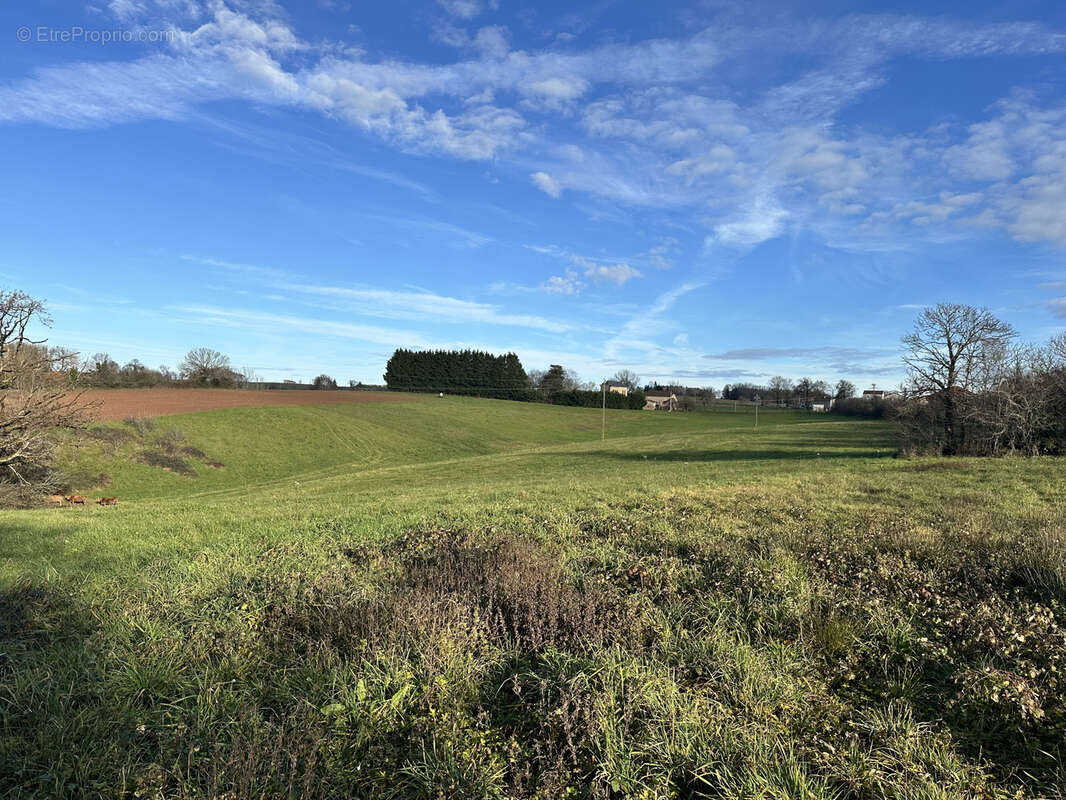 Terrain à LES ALBRES