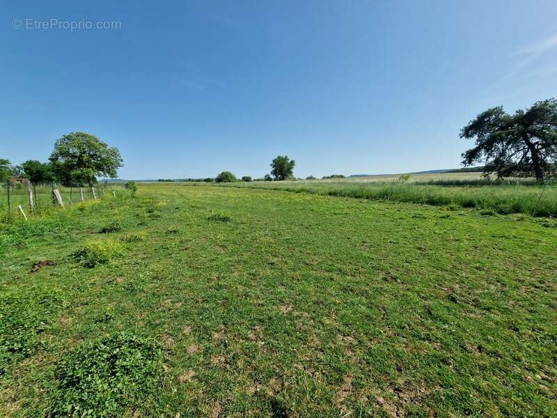 Propriété à vendre 8 pièces proche nancy (54) sur 1,8 hectare - propriété agricole avec ferme rénovée, dependances, ecuries, gra - photo 5