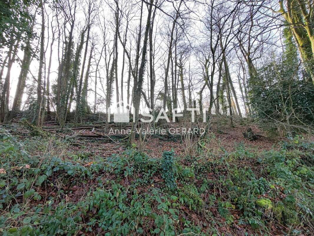 Photo 3 - Terrain à BUAIS