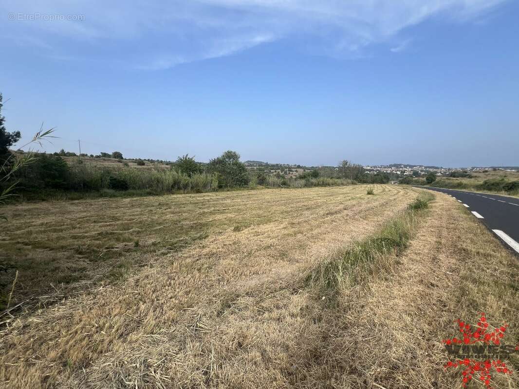 Terrain agricole 3789 m²  Lespignan (34710)  Bord de route, proche village - photo 2