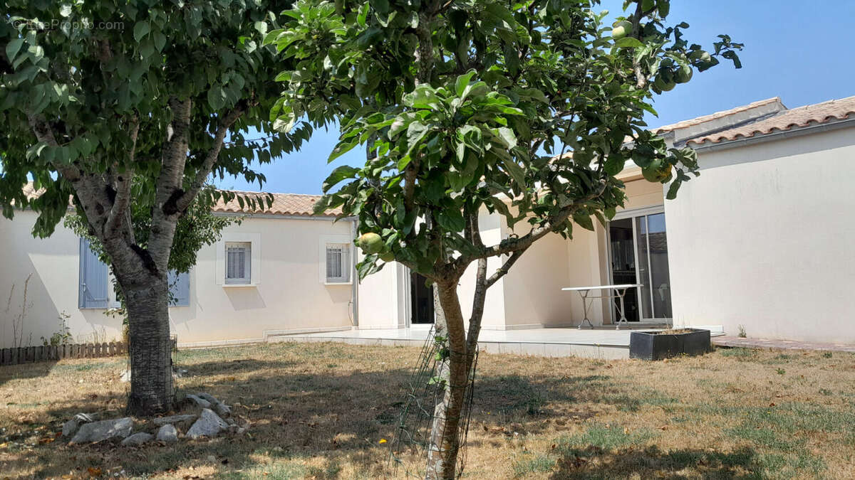 ROCHEFORT - Maison de  plain-pied  - 3 chambres - 2 garages - jardin - photo 16