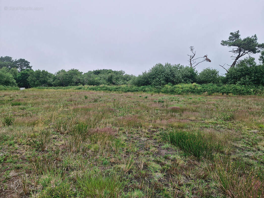 Terrain à LANDUNVEZ