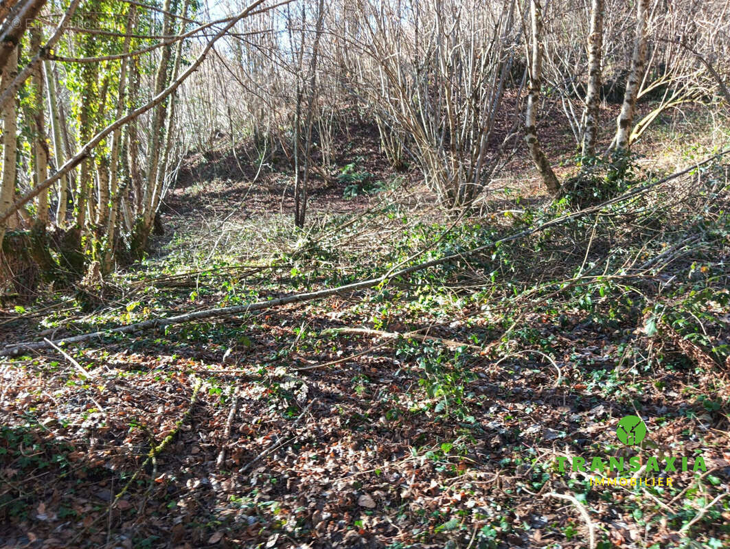 Maison à SAINT-LARY
