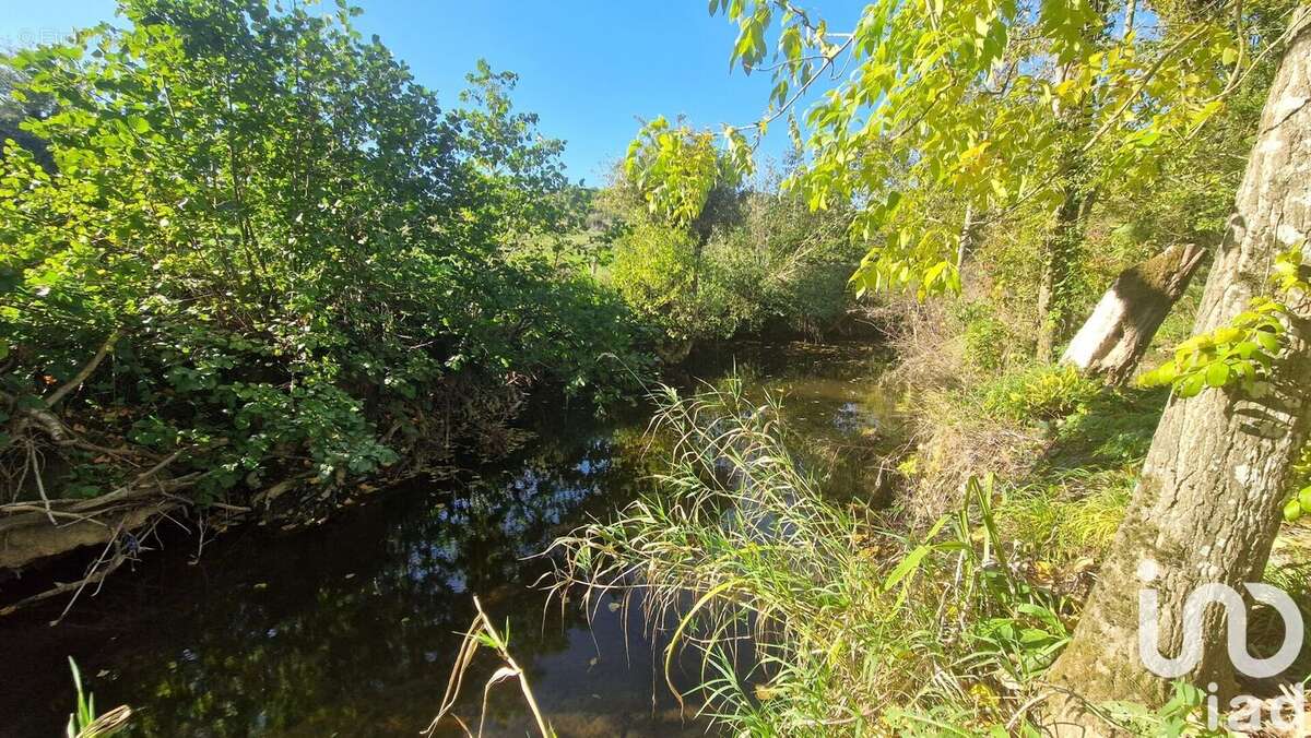 Photo 2 - Maison à ANTIGNY