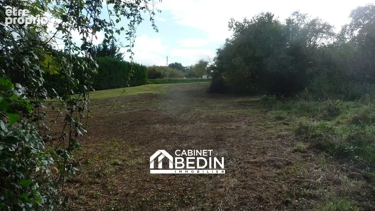 Terrain 4 055 m² à vendre à Branne (33420) - photo 6