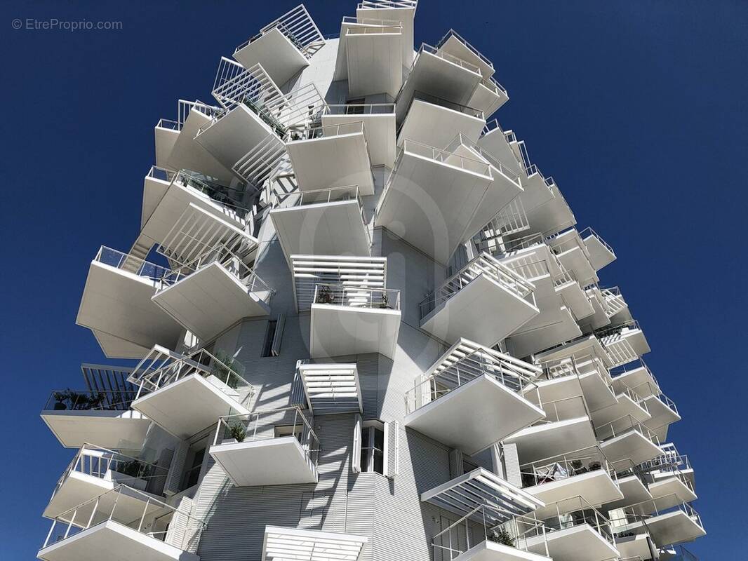 Appartement à MONTPELLIER
