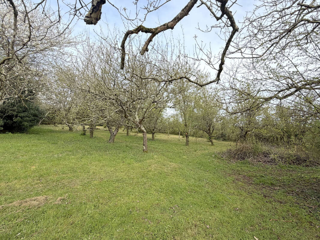 Maison à BUXEROLLES