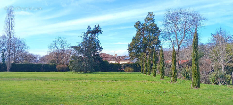 Terrain à SAINT-LIEUX-LES-LAVAUR