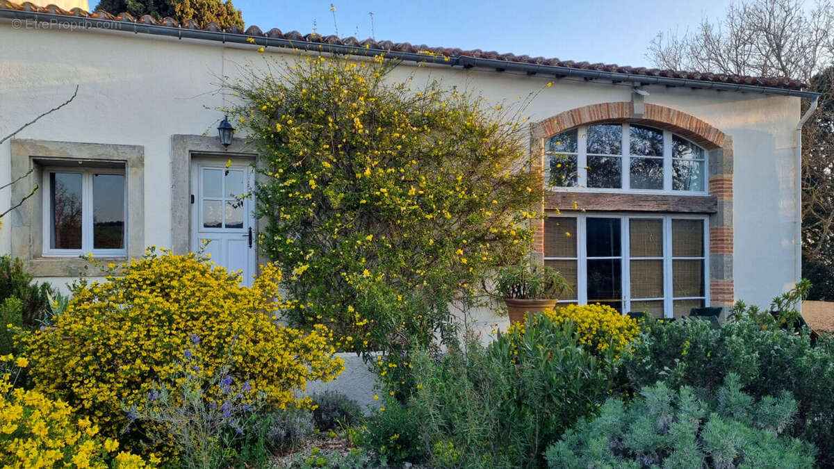 studio - Maison à MONTREAL